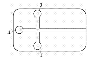 Application of magnetic molecular imprinting technique in chiral recognition of microfluidic system