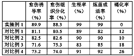 A kind of tissue culture rapid propagation method of geranium geranium