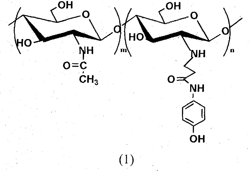 Method for preparing light sensitive type water soluble chitosan derivative