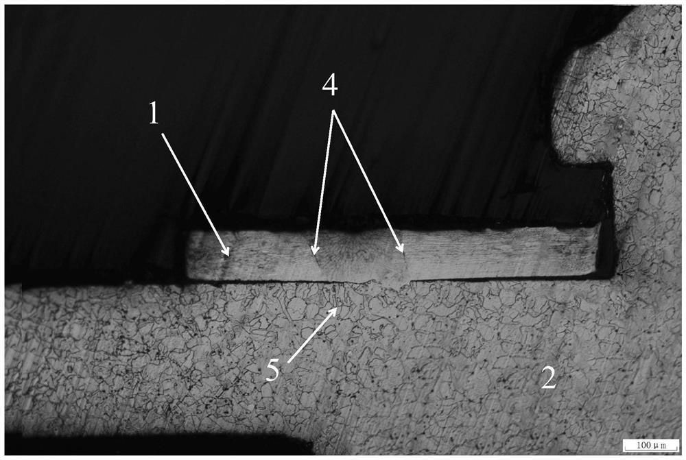 A kind of stainless steel metallographic etchant and application method thereof