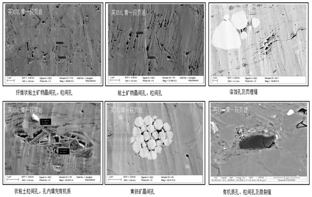 A method for evaluating the formation and enrichment of continental mud shale oil in large freshwater lake basins