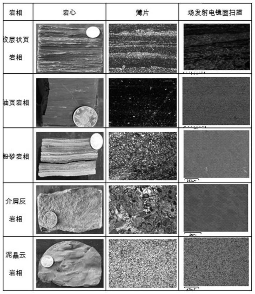 A method for evaluating the formation and enrichment of continental mud shale oil in large freshwater lake basins