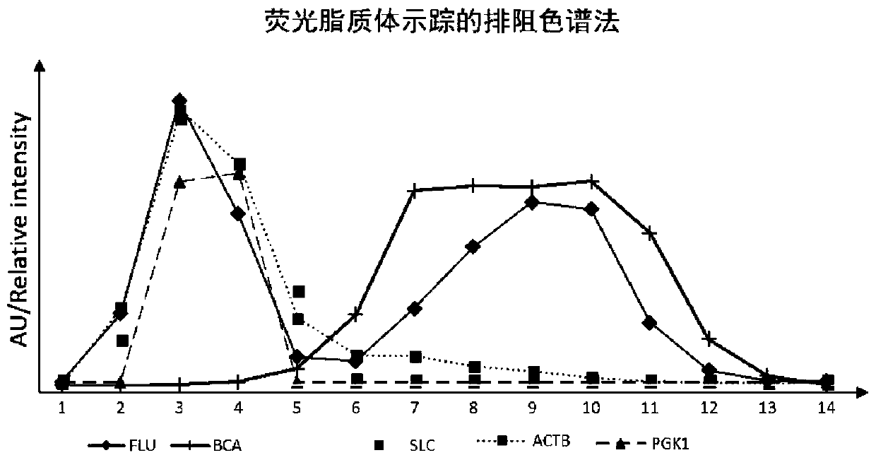 Extracellular vesicle separation and enrichment method based on exclusion chromatography and ultrafiltration technology