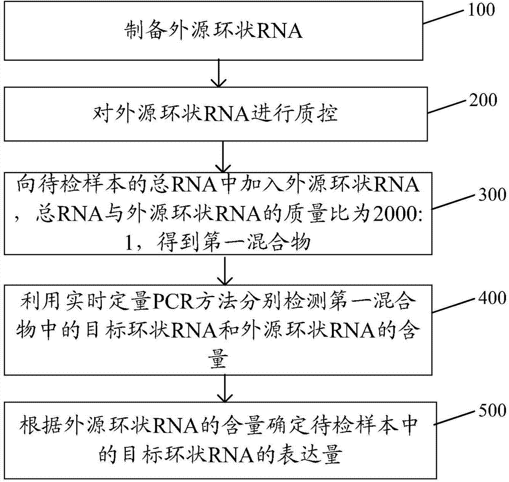 Method for preparing exogenous circular RNA and method for quantitatively determining endogenous circular RNA