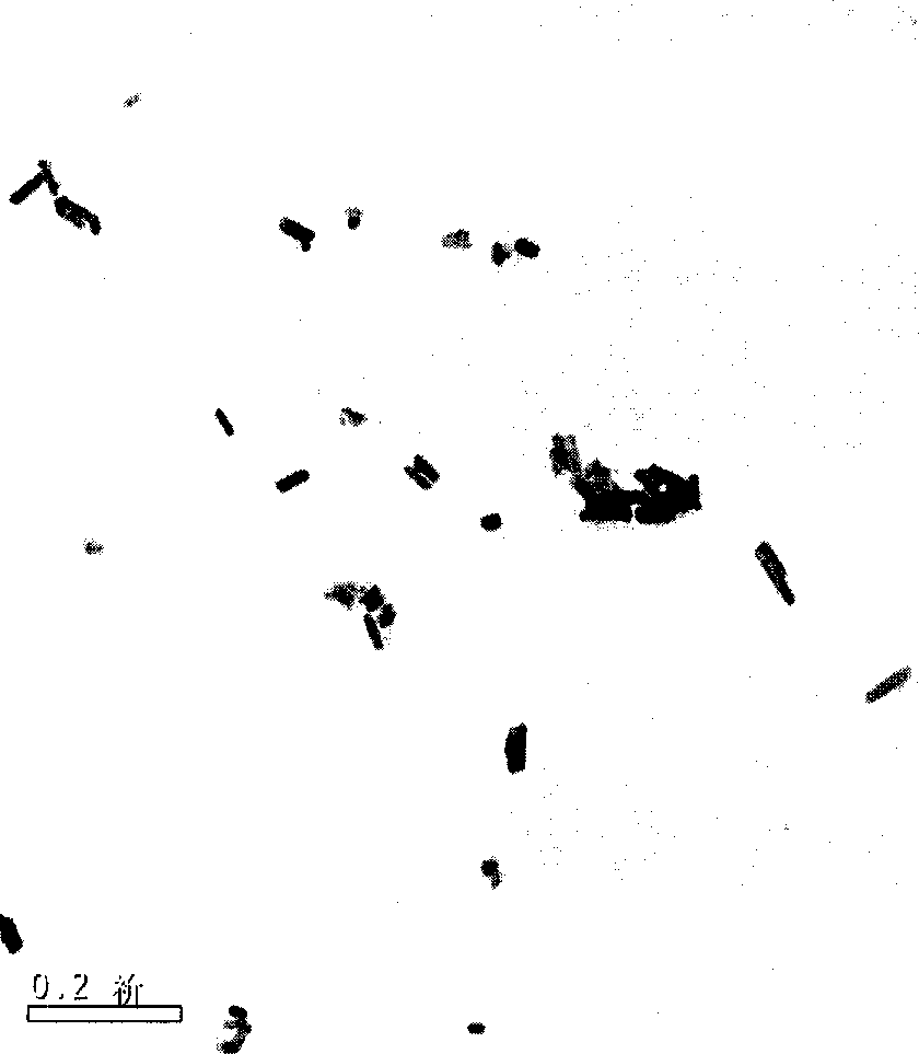 SnO2 monodisperse nano monocrystal with square structure and synthesis method thereof