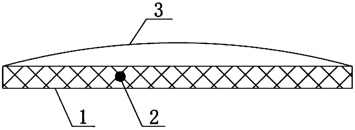 Health-preserving and health-care foot patch and preparation method thereof