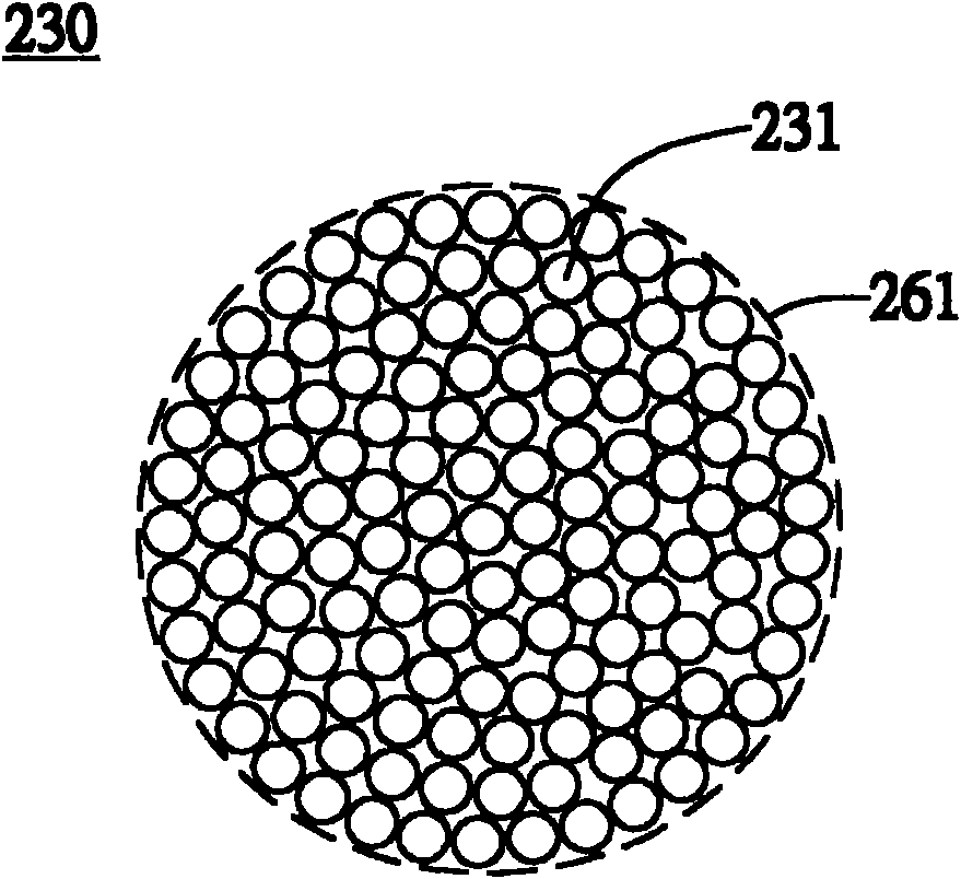 Display device using quantum dot fluorescent powder