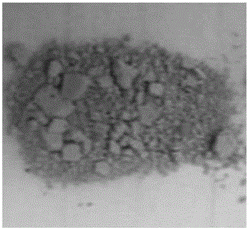 Anti-carbon deposition platinum-based catalyst for preparing propylene through propane dehydrogenation and preparation method thereof