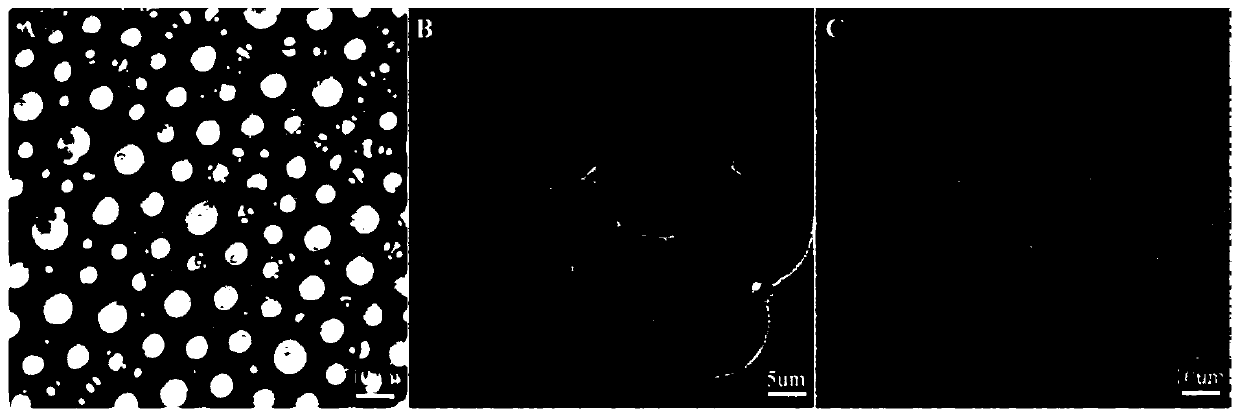 L-menthol slow-release material based on graphene quantum dots and preparation method thereof