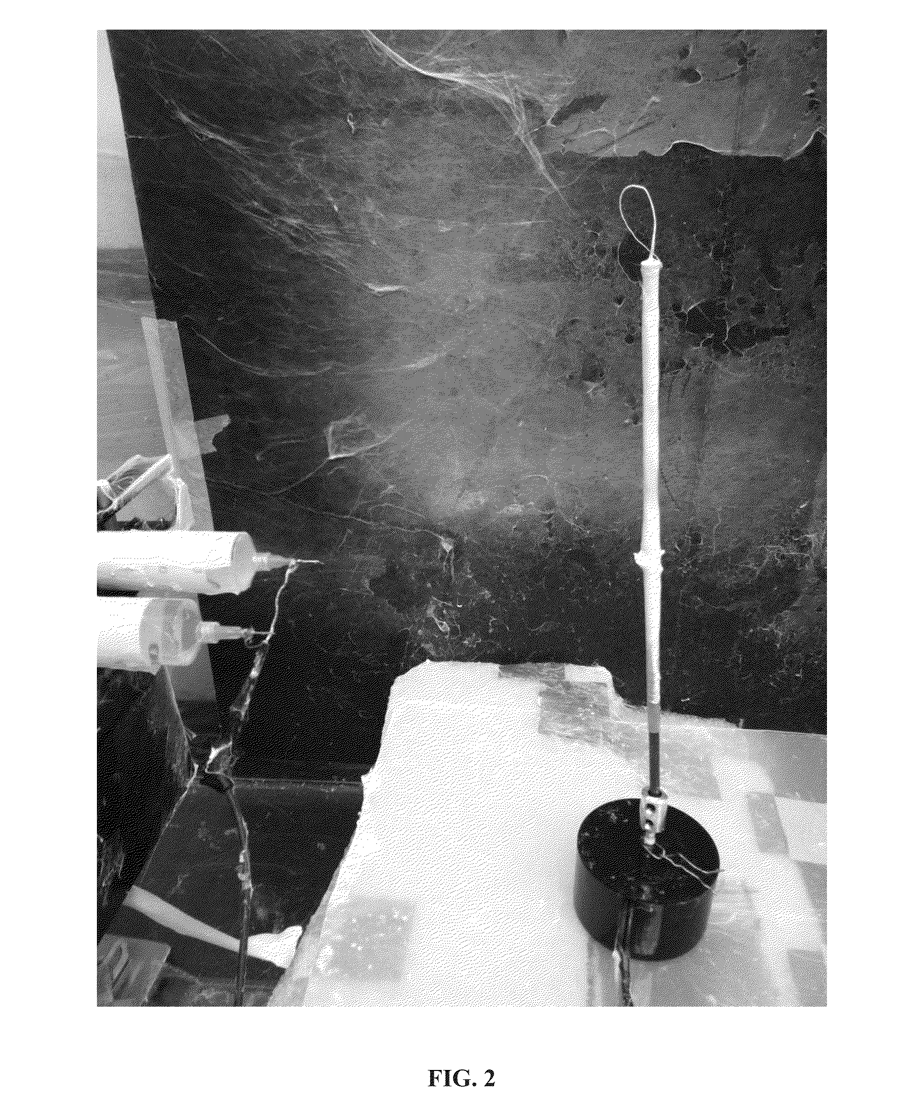 Fiber scaffolds for use in esophageal prostheses