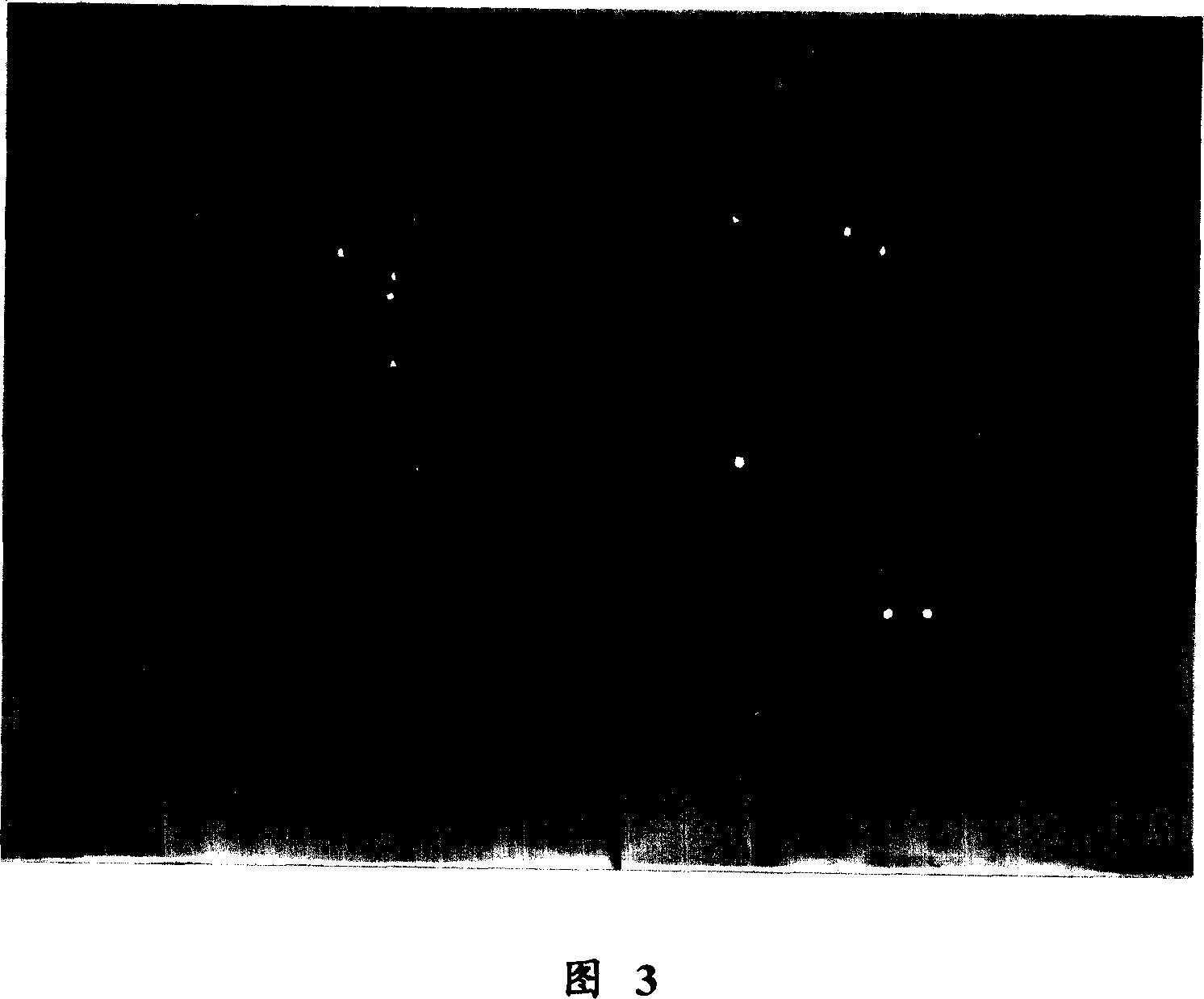 Adjuvant for improving flock glue performance and its preparation method and flock glue containing said adjuvant