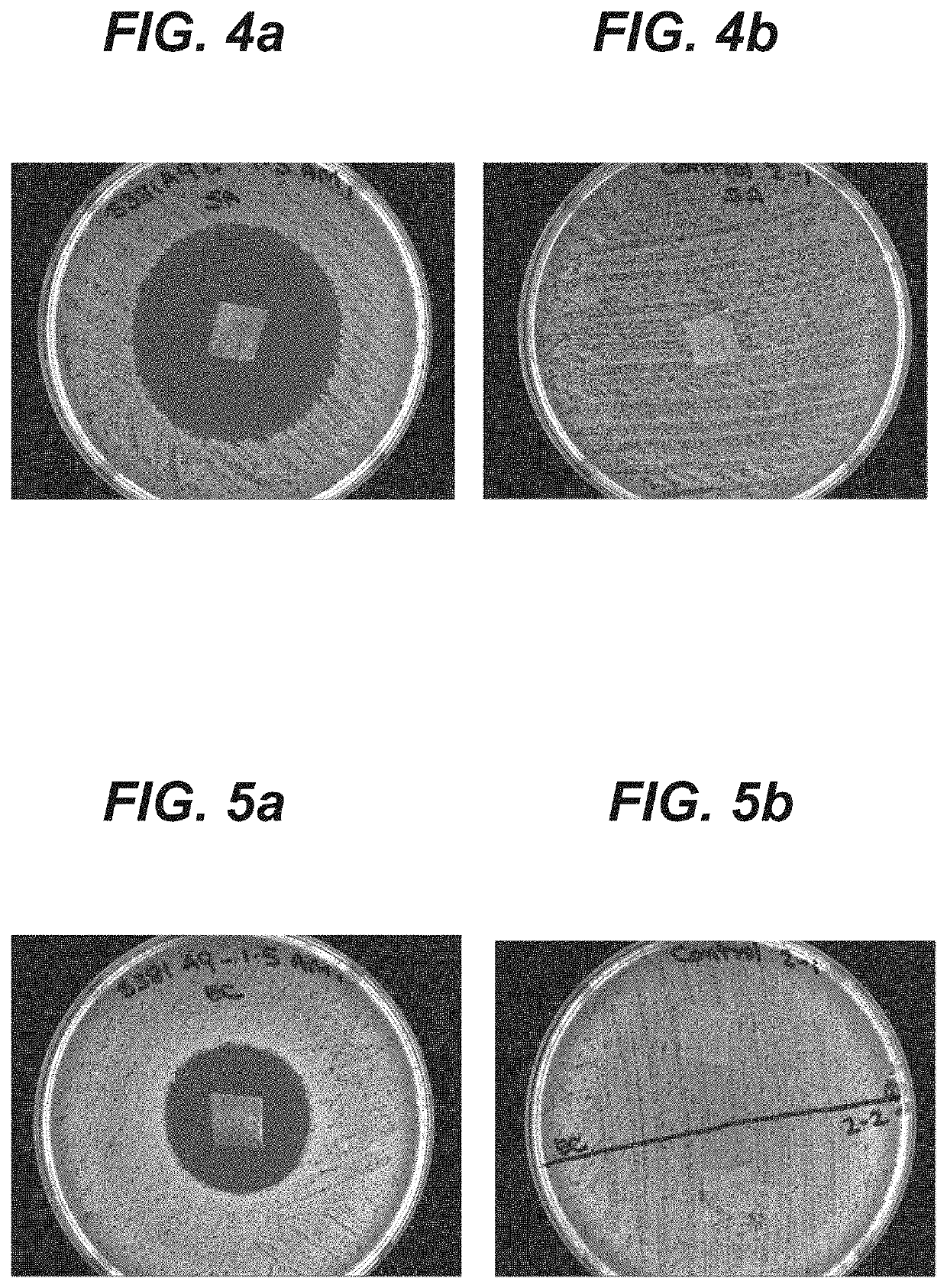 Novel Antimicrobial Topical Skin Closure Compositions and Systems