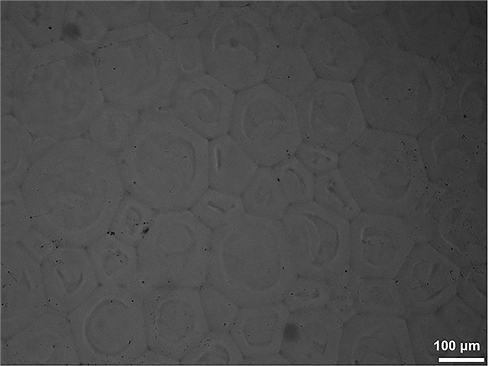 Injectable dextran hydrogel microsphere filler and preparation method thereof