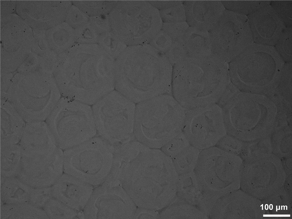 Injectable dextran hydrogel microsphere filler and preparation method thereof