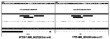 Probe library for detecting fusion gene of neurotrophin receptor kinase (NTRK) gene family, reagent, kit and application