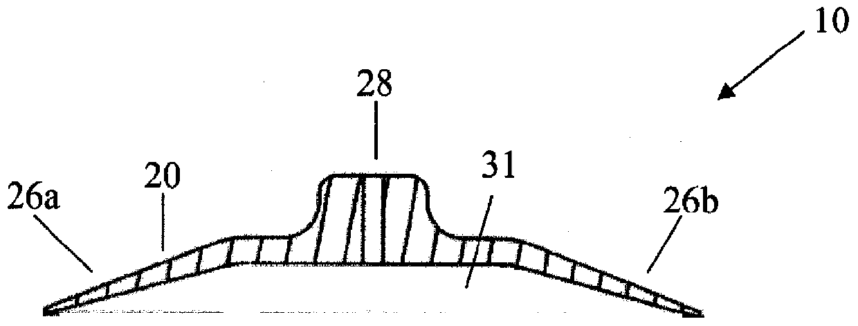 Apparatus and methods for applying curable fluid compositions to body organs