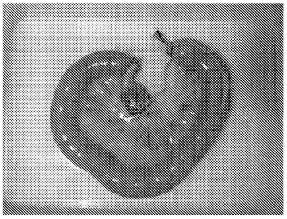 Implant and method for producing an implant