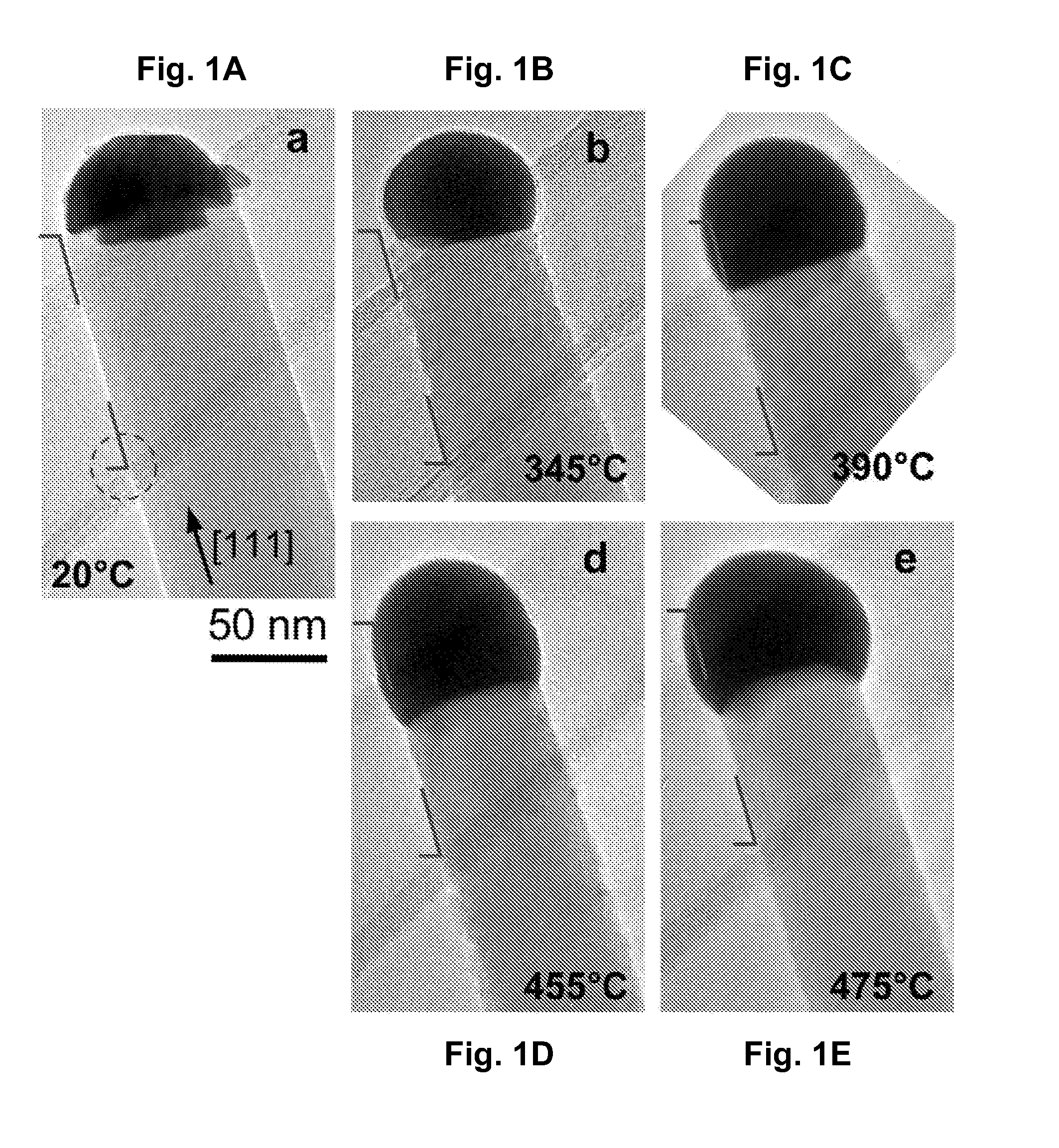 Segmented Nanowires Displaying Locally Controllable Properties