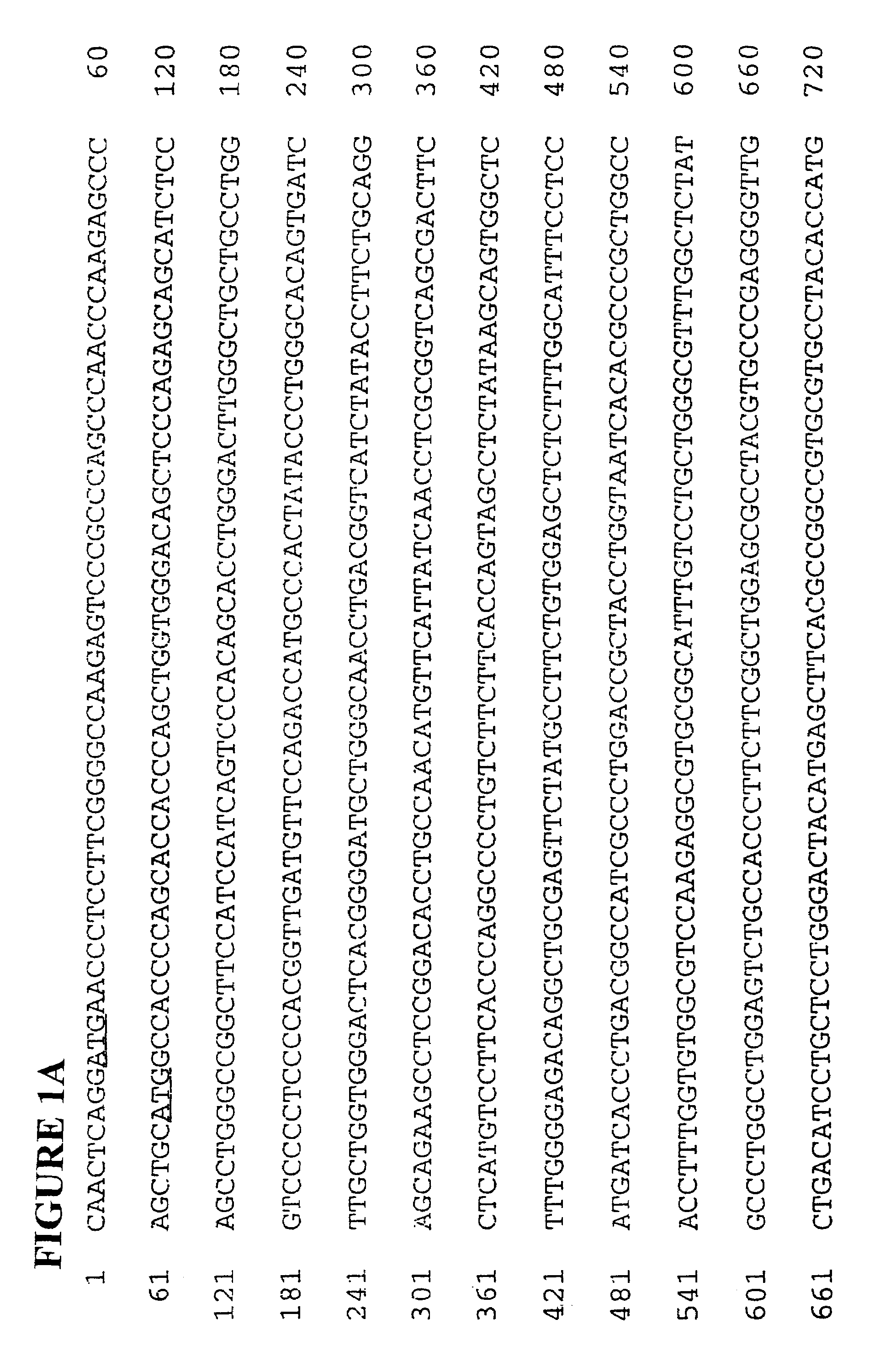 DNA encoding SNORF36 receptors