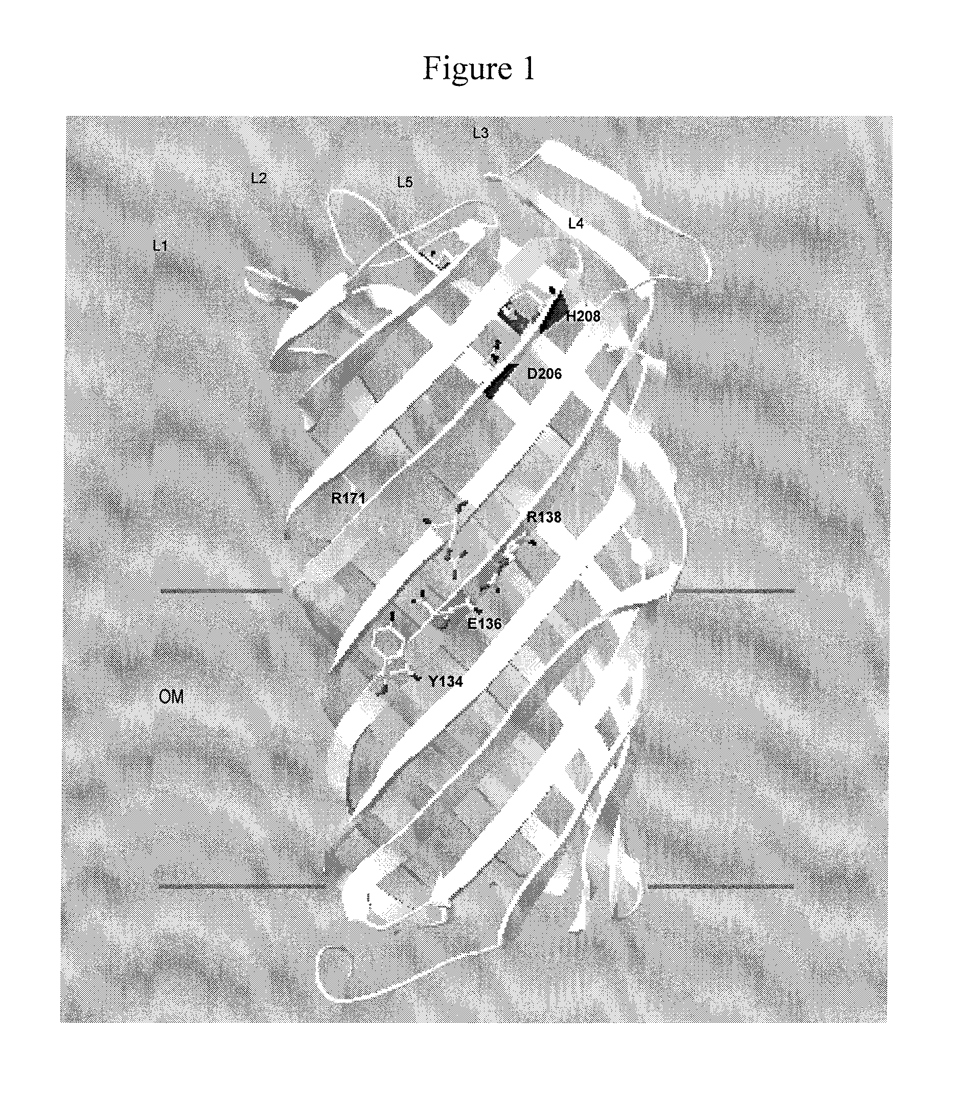 Inhibitors of bacterial plasminogen activators