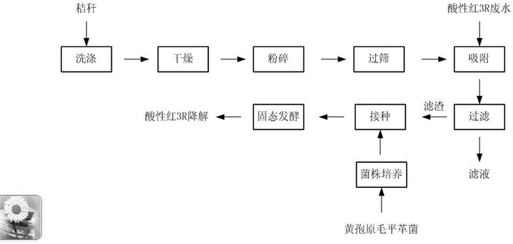 Method for removing acid red 3R by straw adsorption coupled fungus fermentation