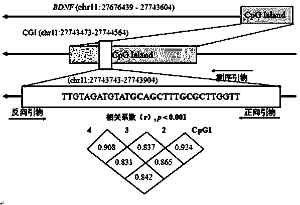 Detection kit for helping diagnose Alzheimer disease and detection method thereof