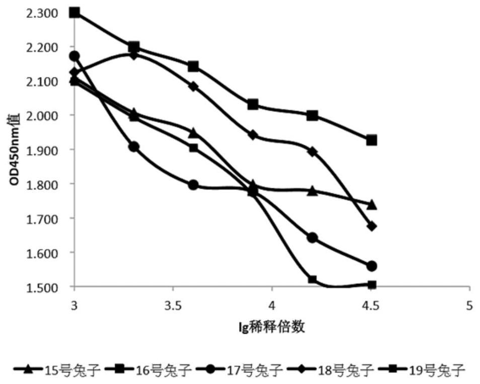 Serum CENPF antibody (IgG and IgM) detection colloidal gold test strip