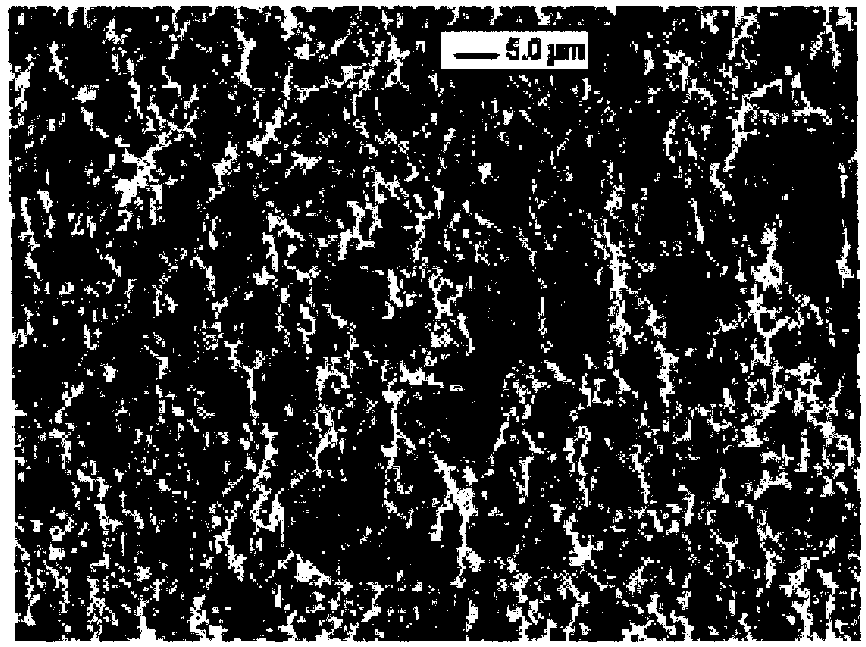 Liquid ejecting head and liquid ejecting device