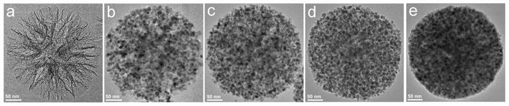 Multi-level controllable assembly type fluorescent-magnetic bifunctional microsphere as well as preparation method and application thereof