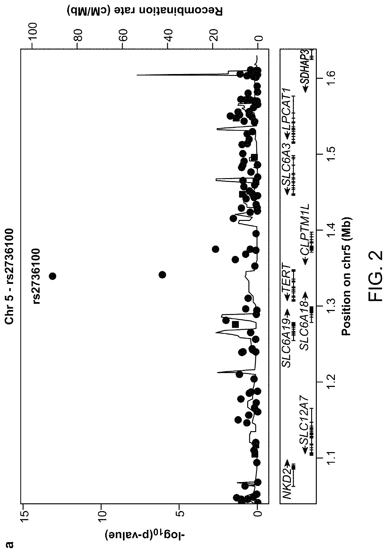 Methods for predicting risk of interstitial pneumonia