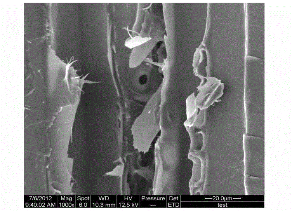 Hydrophobic wood-base photochromic composite preparation method