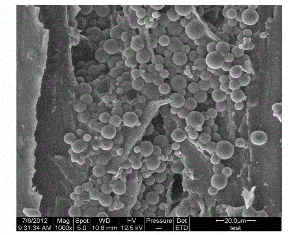 Hydrophobic wood-base photochromic composite preparation method