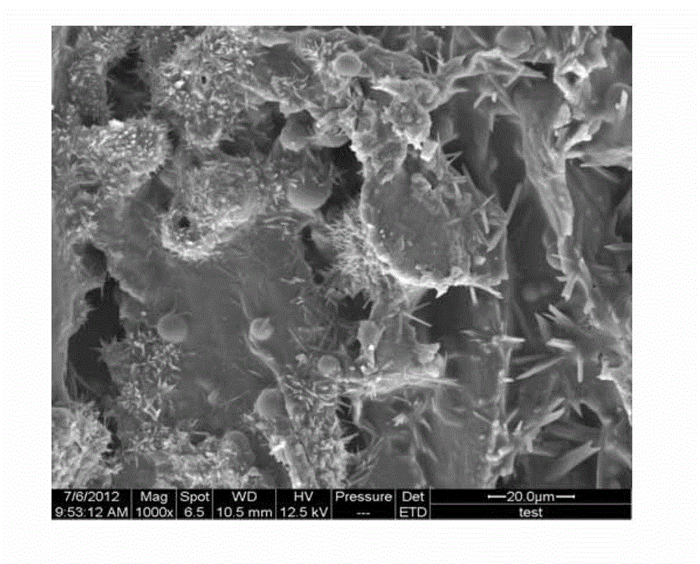 Hydrophobic wood-base photochromic composite preparation method