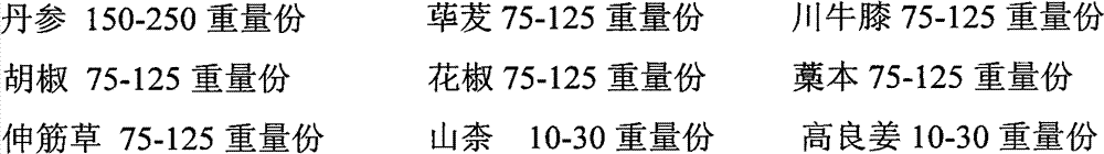 Chinese medicinal composition for treating Bi syndrome, and preparation method and detection method of Chinese medicinal composition