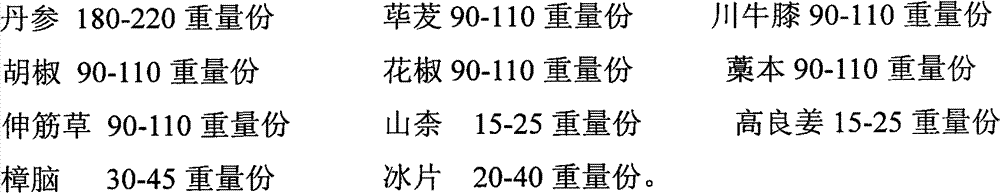 Chinese medicinal composition for treating Bi syndrome, and preparation method and detection method of Chinese medicinal composition