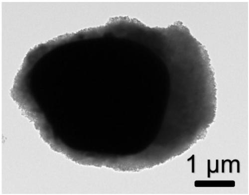 Piezoelectric-photocatalyst for enhancing photocatalytic degradation reaction, preparation method and application thereof