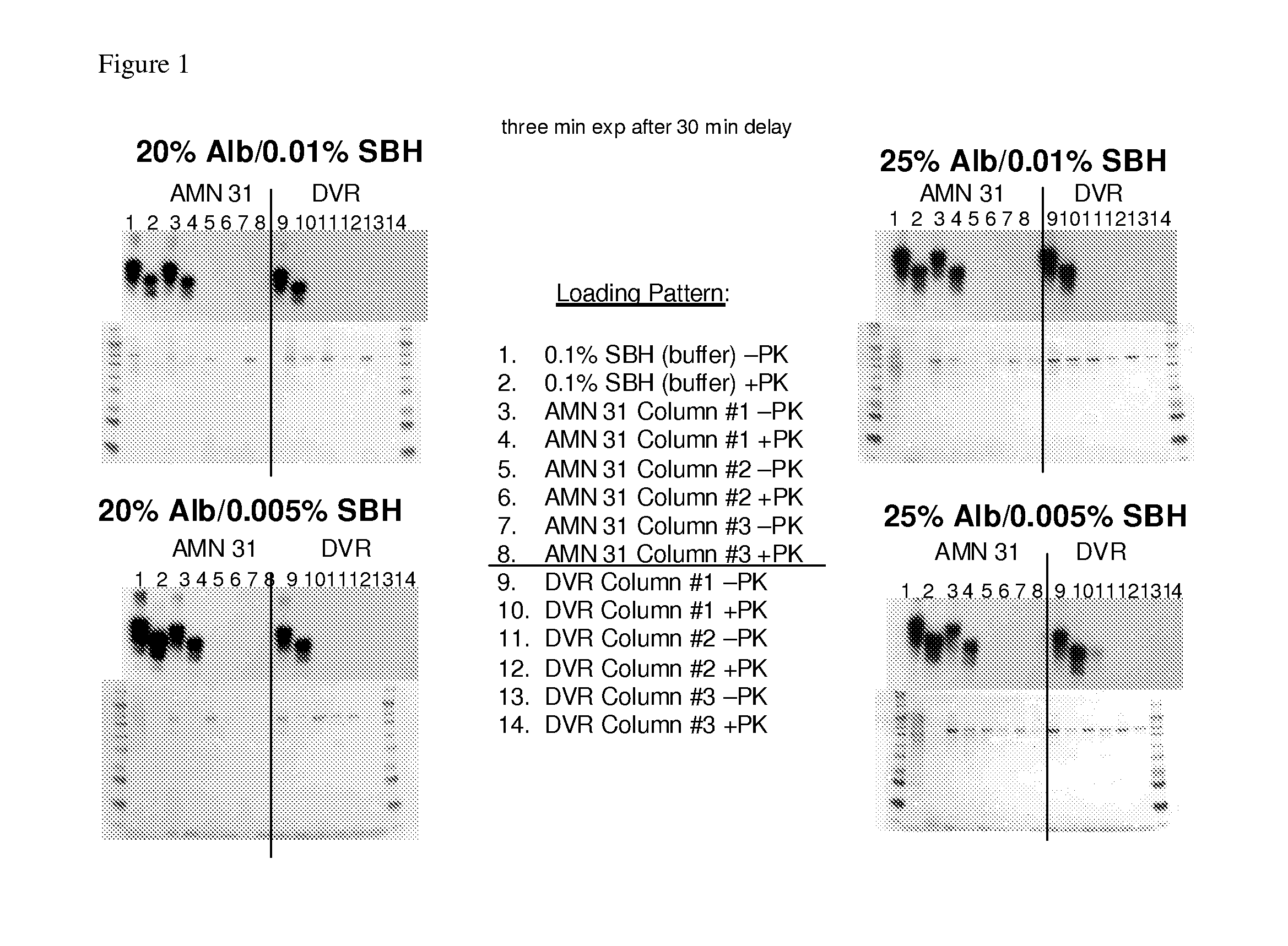 Prion free nanoparticle compositions and methods of making thereof