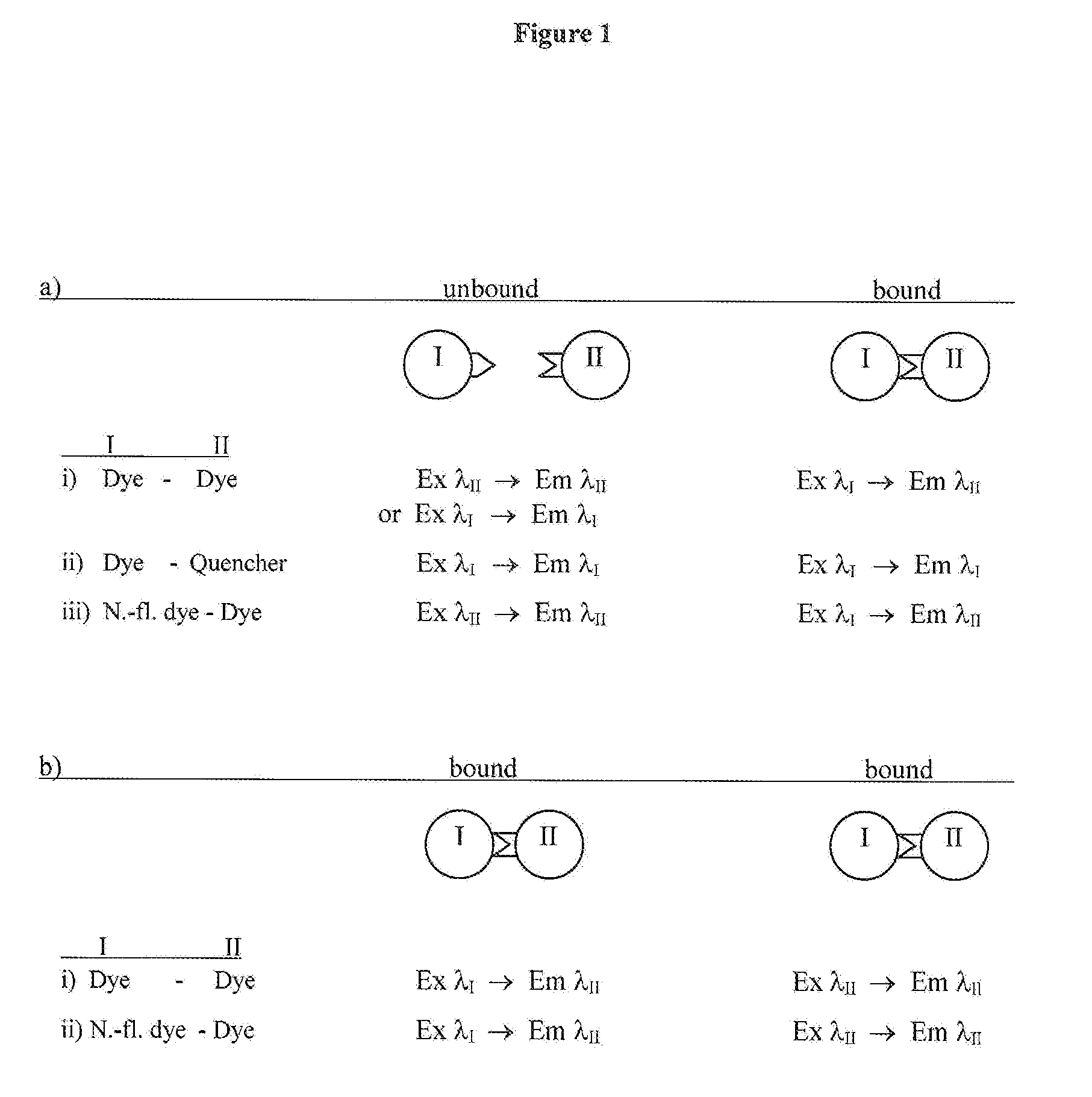 Stabilized aqueous alpha-galactosidase composition and methods relating thereto