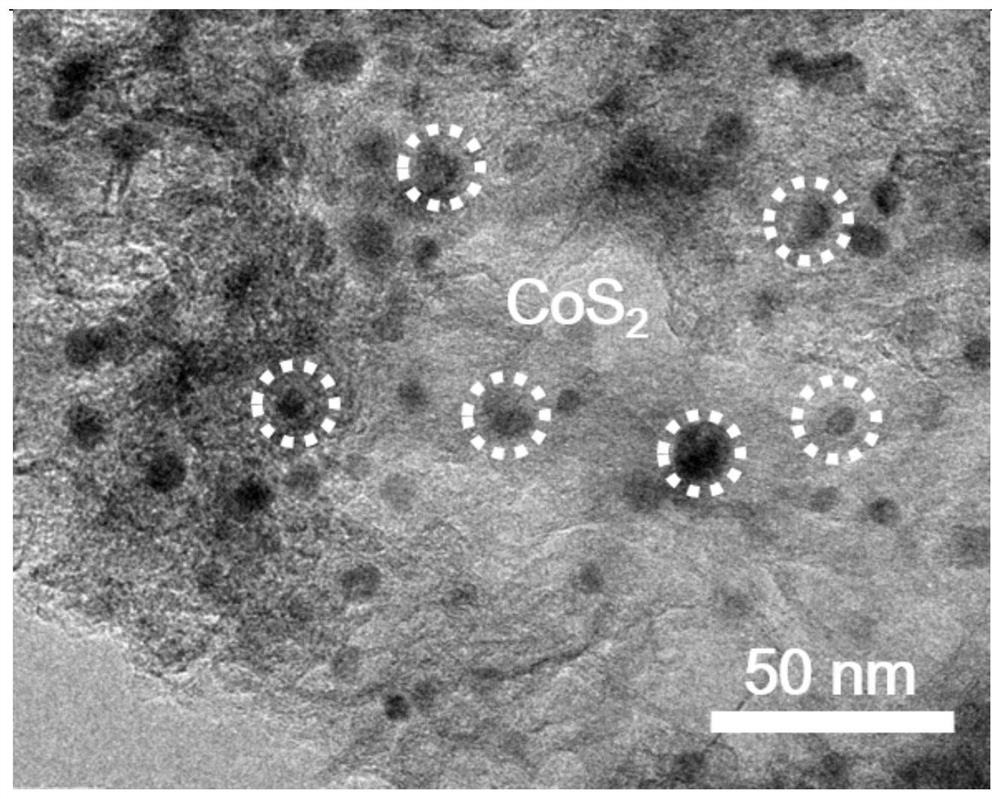 A kind of lithium-sulfur battery cathode carrier material and preparation method thereof