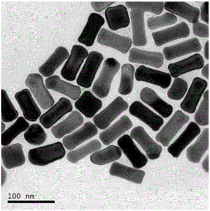 Discrete precious metal nanoparticles and preparing method thereof