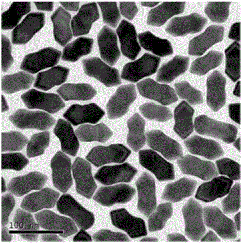 Discrete precious metal nanoparticles and preparing method thereof