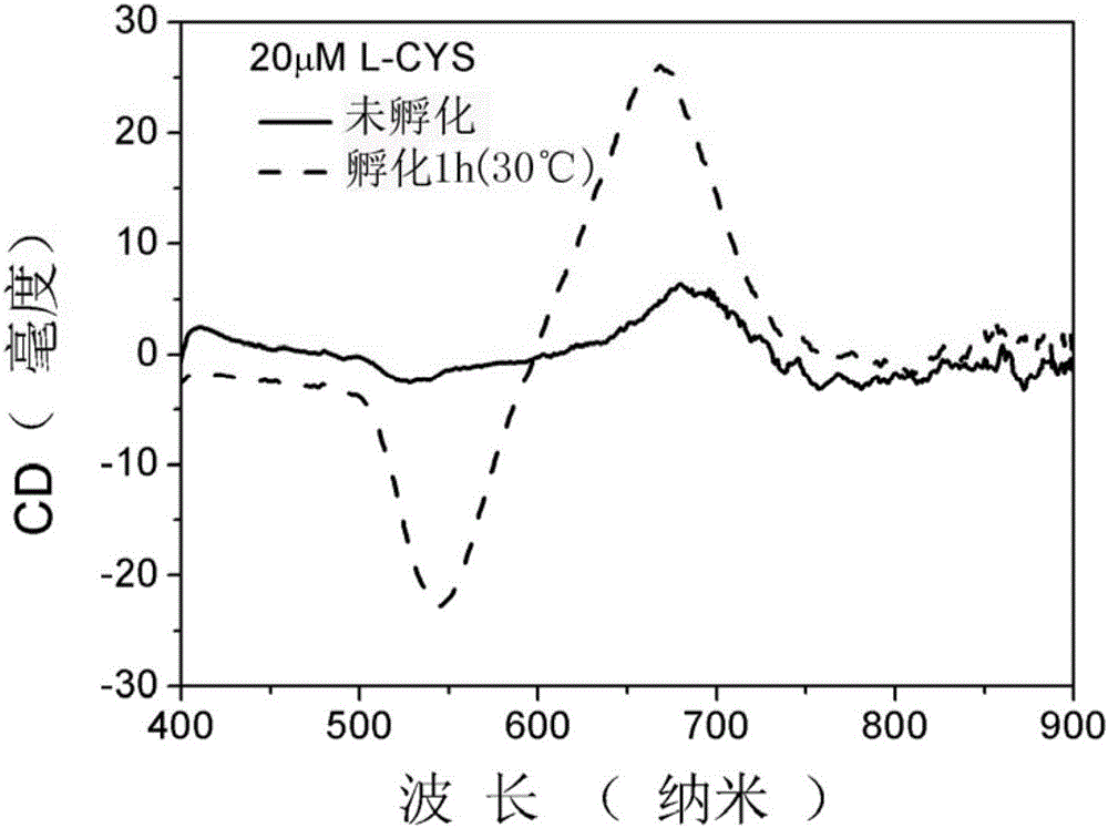 Discrete precious metal nanoparticles and preparing method thereof