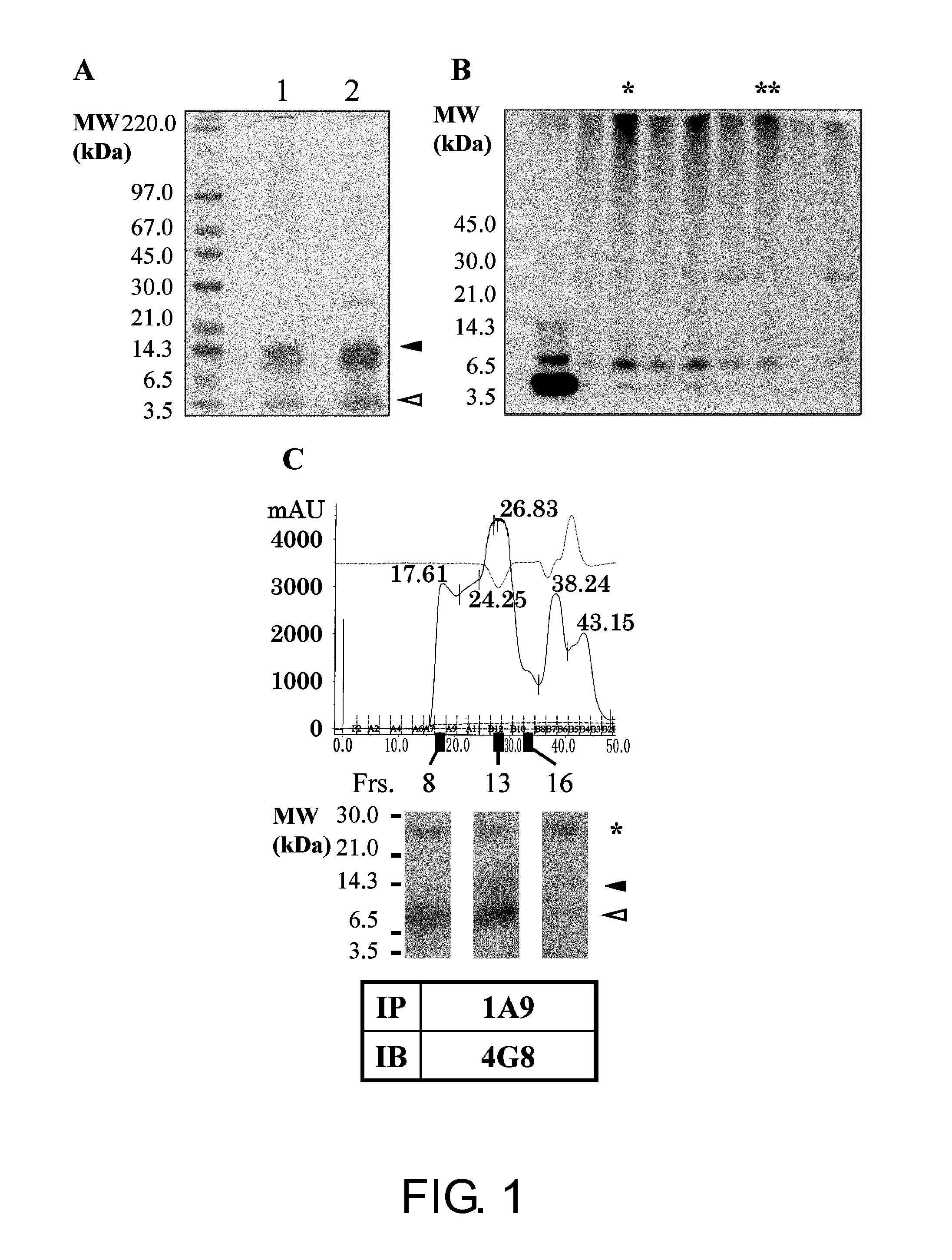 Antibody Capable of Binding Specifically to AB-Oligomer, and Use Thereof