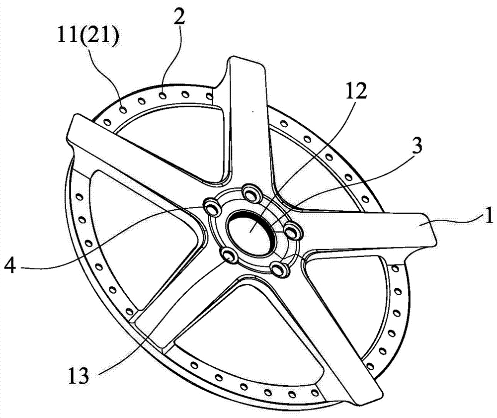 Carbon fiber hub spoke