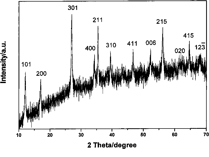 Beta-FeOOH particles, preparation method and application thereof