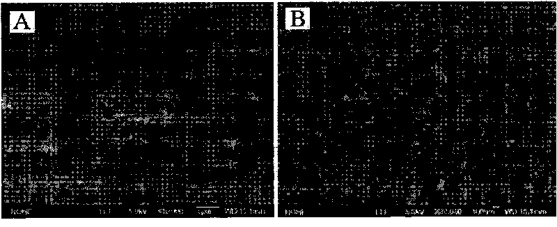 Beta-FeOOH particles, preparation method and application thereof