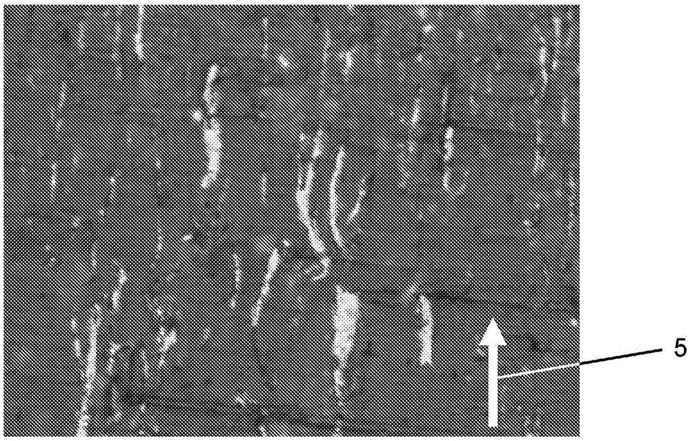 Coating film composition for battery electrodes or separators, battery electrode or separator provided with coating film obtained by using same, and battery provided with battery electrode or separator