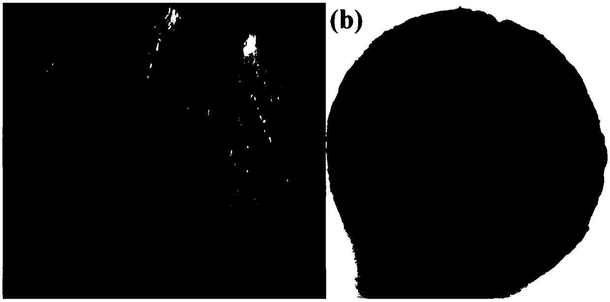 Preparation method of super hydrophilic/underwater super oleophobic self-cleaning paper towel fibrous membrane