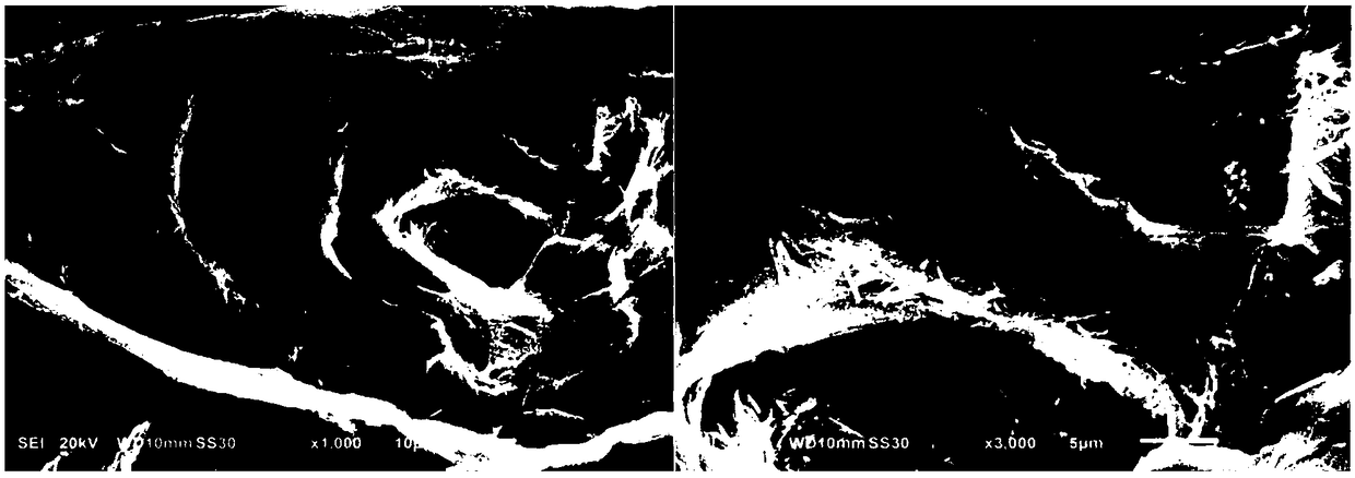 Preparation method of super hydrophilic/underwater super oleophobic self-cleaning paper towel fibrous membrane