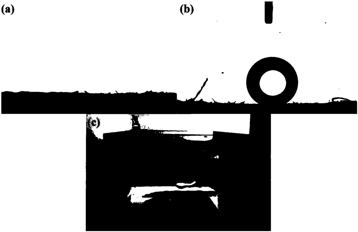 Preparation method of super hydrophilic/underwater super oleophobic self-cleaning paper towel fibrous membrane